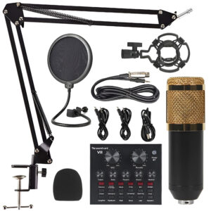 bm800v8_condenser_microphone_metal_body-1.jpg